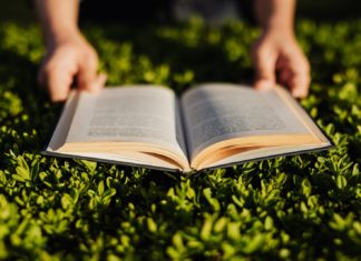 5 reasons books rock